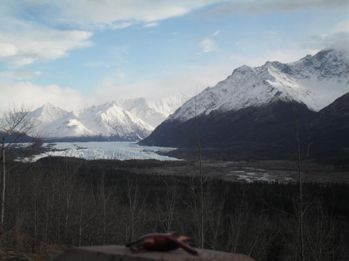 Matanuska Glacier