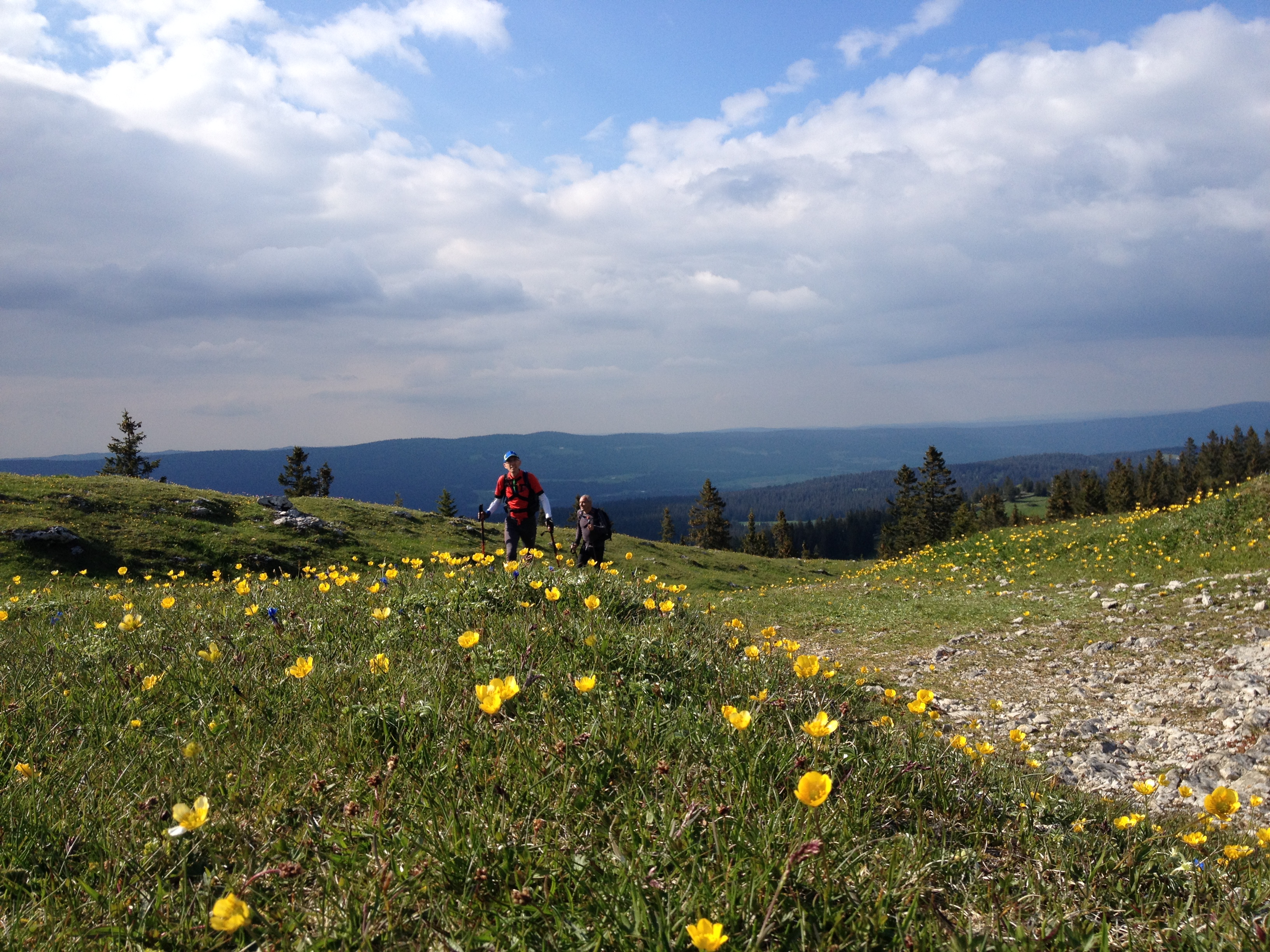 Jura Suisse